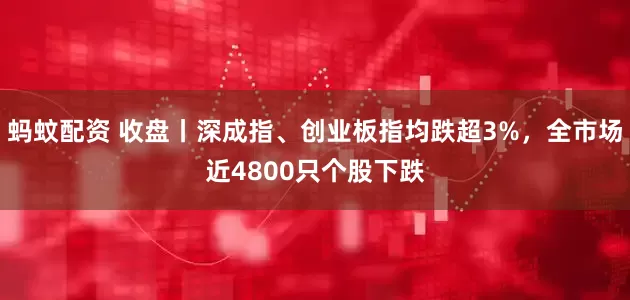 蚂蚊配资 收盘丨深成指、创业板指均跌超3%,全市场近4800只个股下跌